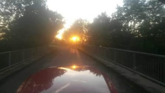 Der Sonne entgegen