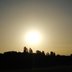 Sonne 