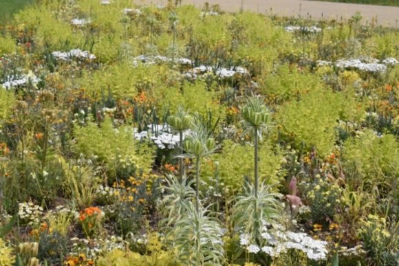 Bundesgartenschau_Mannheim