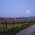 Mond über Venningen