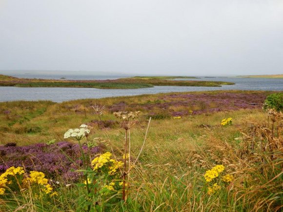 Loch_of_Harray, Schottland