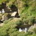 Brough_of_Birsay