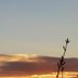Sonnenaufgang