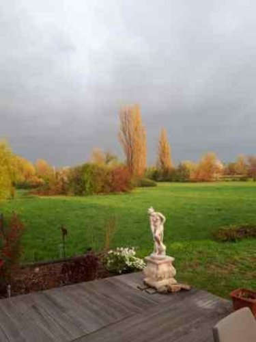 Garten im Sonnenlicht