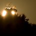 Felsgebilde "Runder Hut" über Wernersberg bei Annweiler im Sonnenlicht
