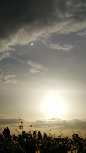 Sonne