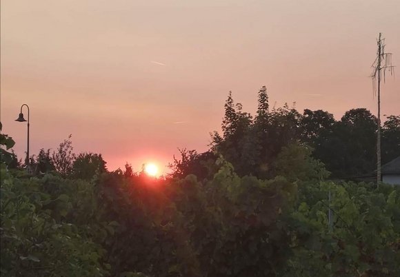 Sonne