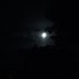 Mond
