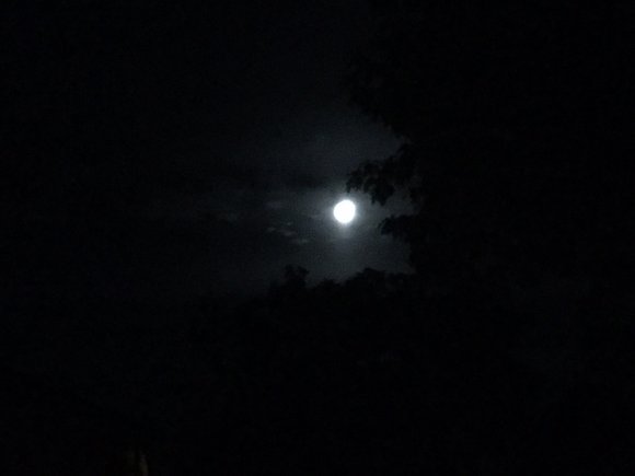 Mond