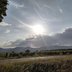 Sonne über den Weinbergen
