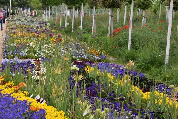 Bundesgartenschau_Mannheim