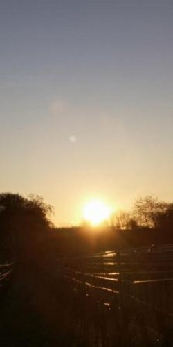Sonne über Weinbergen