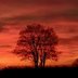 Astrid_Schlosser