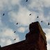 Alte_Kirche_Pelkworm