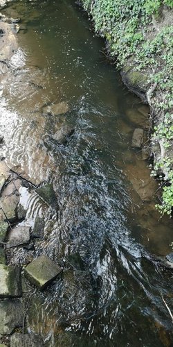 fließender Bach