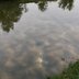 Himmel spiegelt sich in der Pfütze