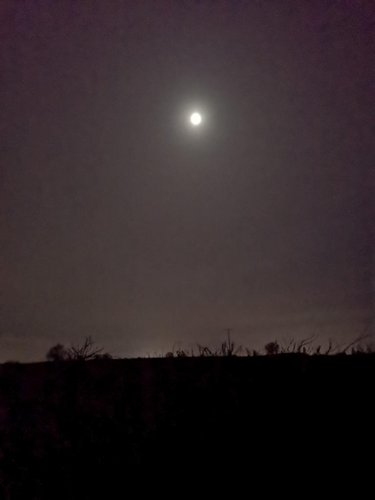 Mond im Morgengrauen