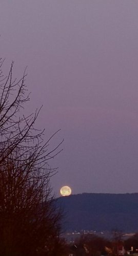Mond