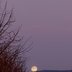 Mond