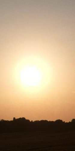 Sonne am Morgen