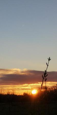 Sonnenaufgang