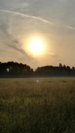 Sonne im Morgendunst