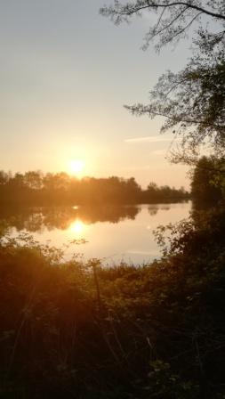 Sonne im See