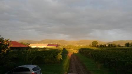 Blick Richtung Berge
