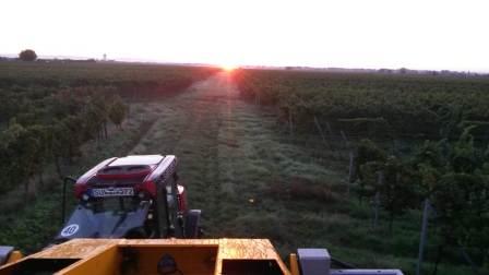 Sonnenaufgang vom Traktor aus