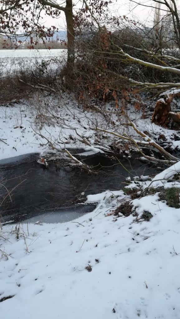 Schnee am Bachufer