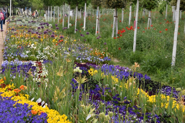 Bundesgartenschau_Mannheim