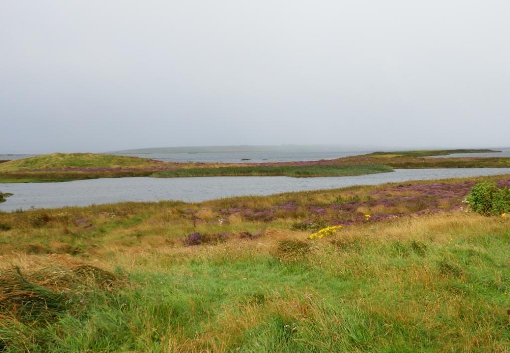 Loch_of_Harray_Schottland