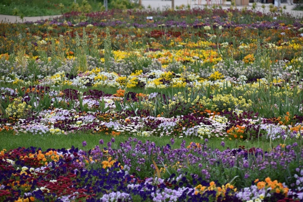 Bundesgartenschau_Mannheim