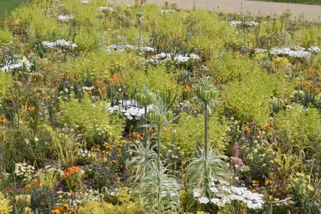 Bundesgartenschau_Mannheim