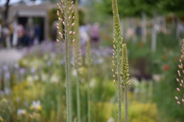 Bundesgartenschau_Mannheim