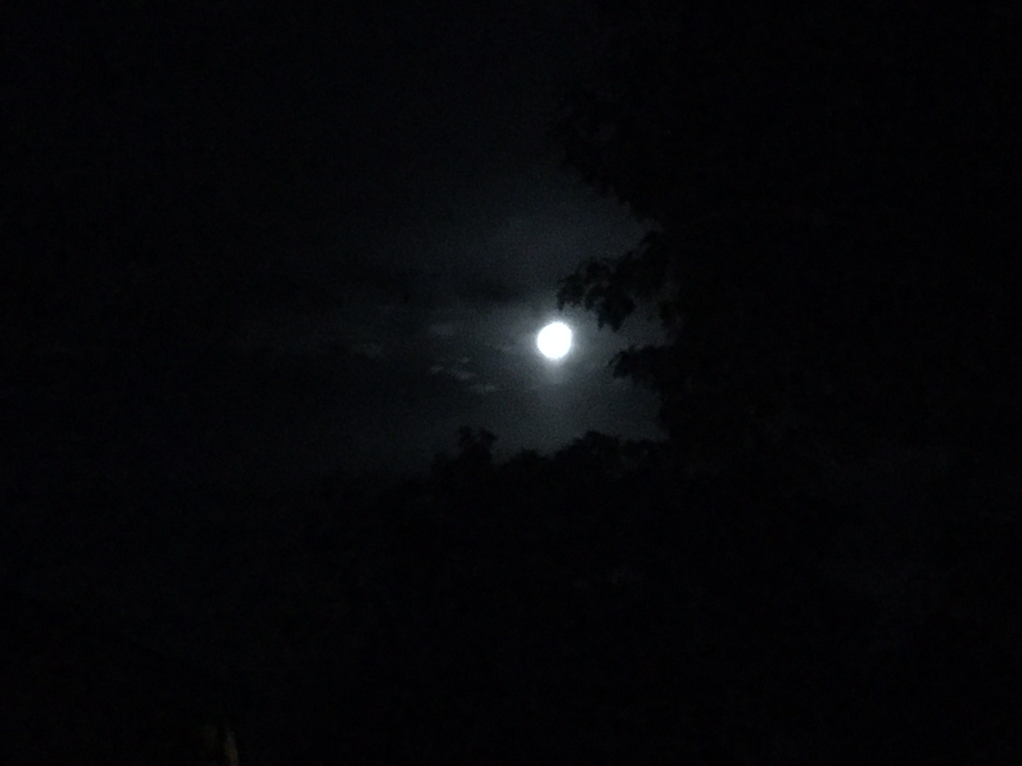 Mond