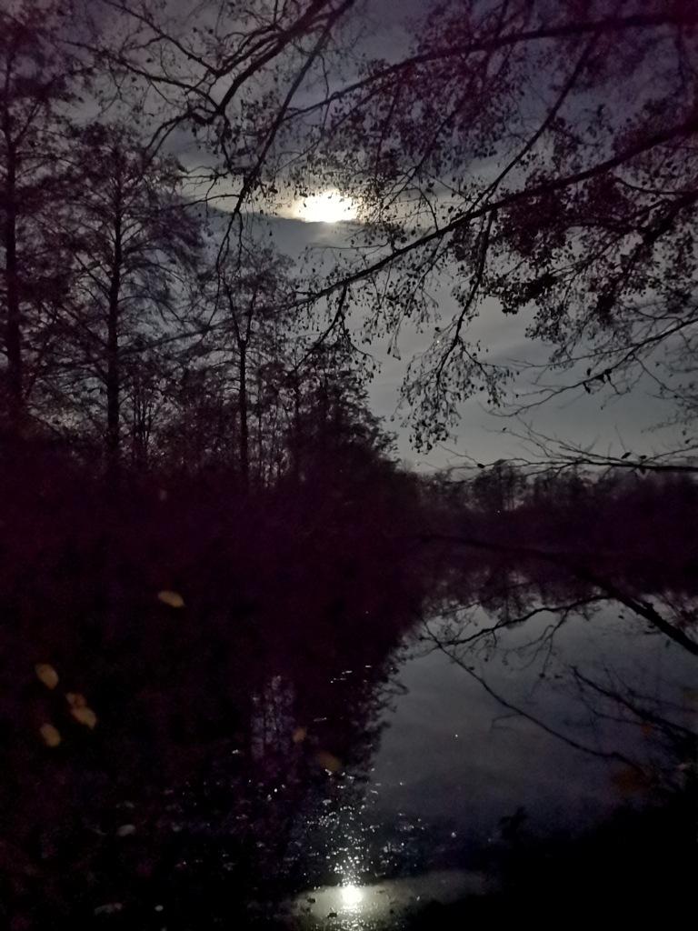 Mond über dem Weiher