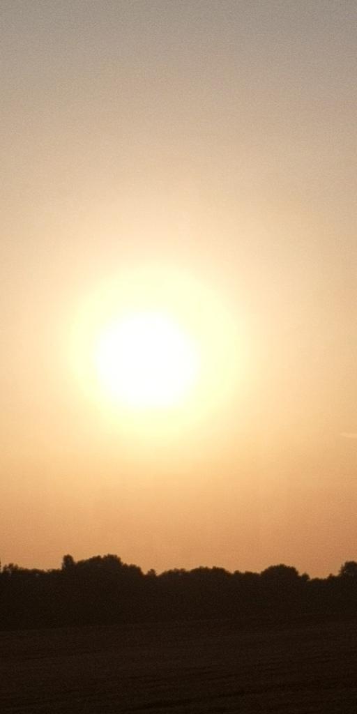 Sonne am Morgen