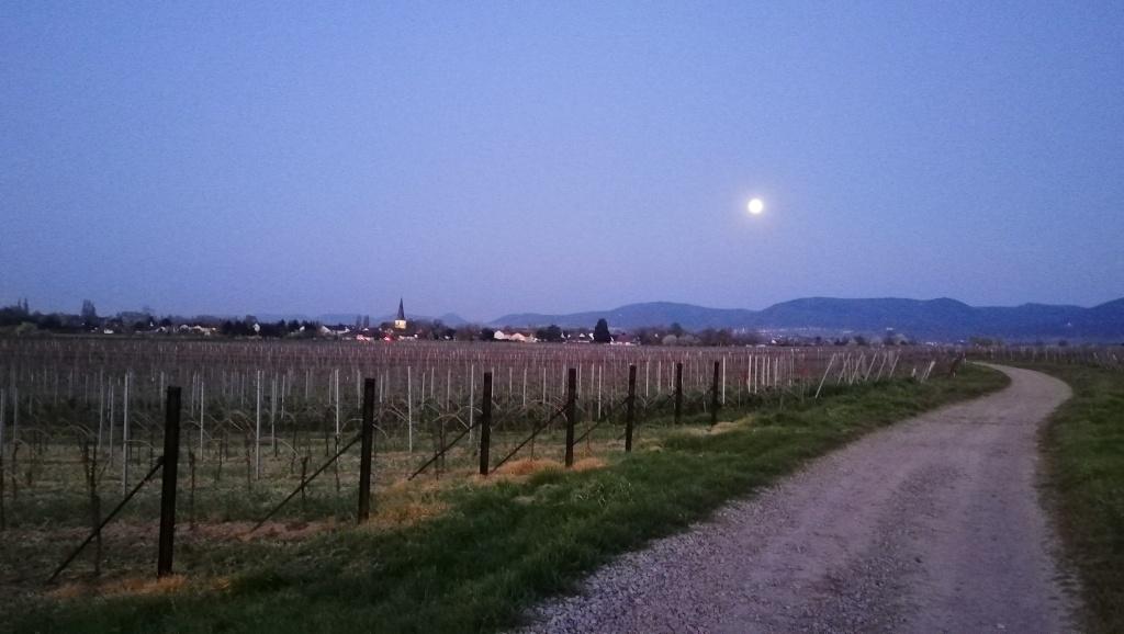 Mond über Venningen