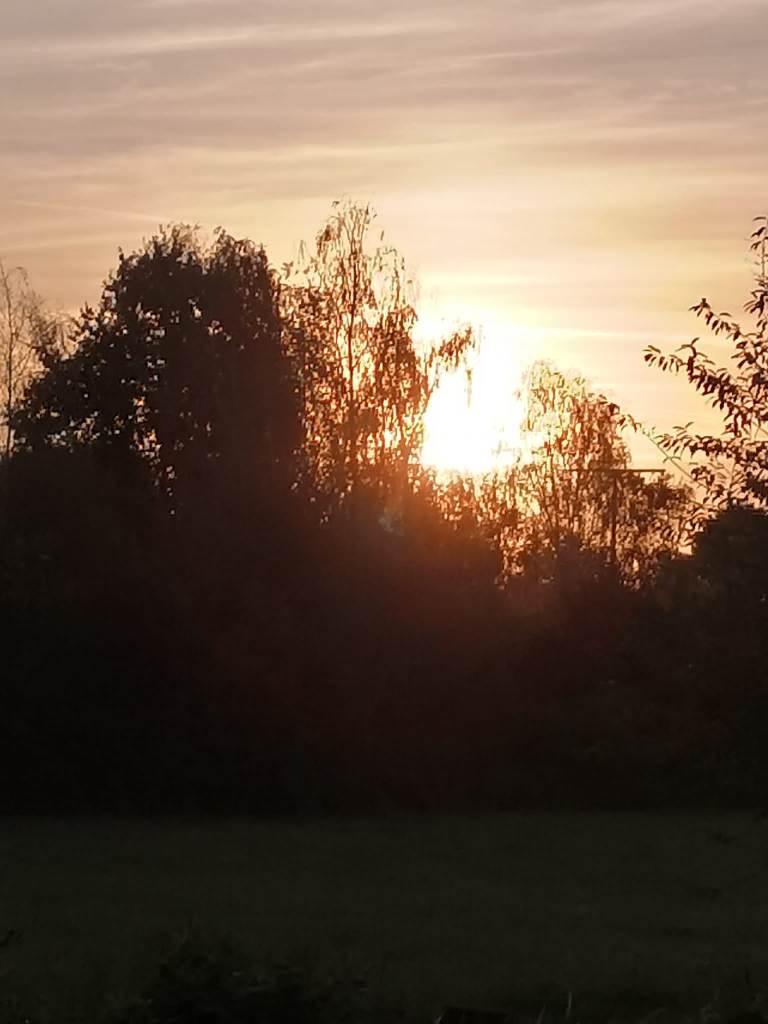 Sonne