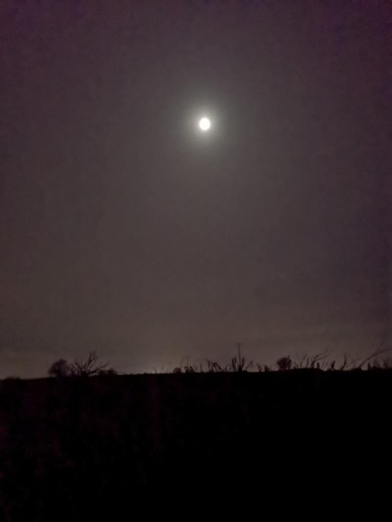 Mond im Morgengrauen