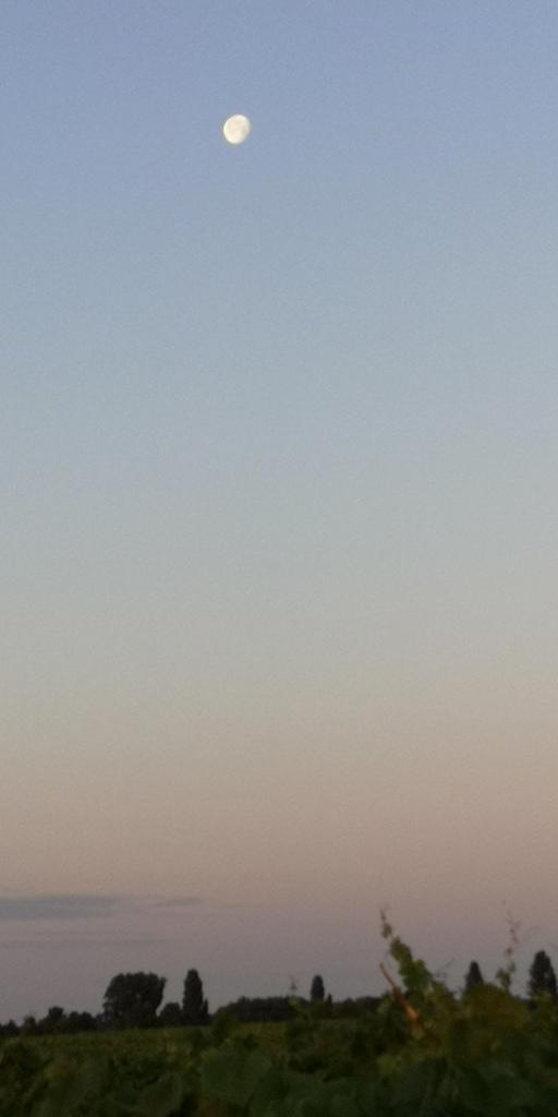 Abnehmender Mond