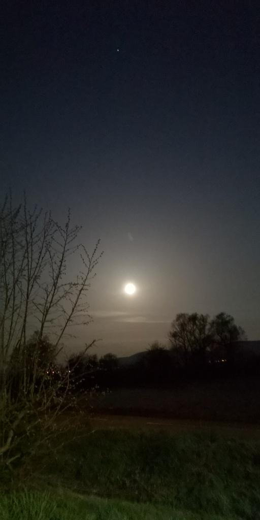 Mond