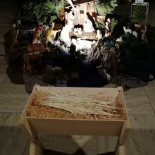 Stroh in der Krippe